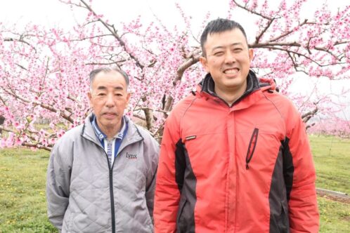 〝フルーツ王国〞山梨県からお届け！親子で作る、甘くて濃厚な桃とぶどう