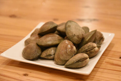 <strong>大粒でプリッとした食感と、濃厚なうまみ!北海道厚岸産あさり貝</strong>