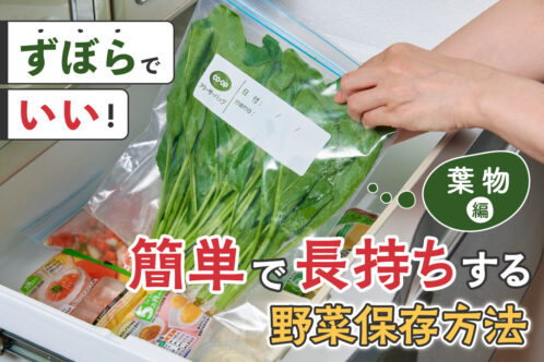 すぼらでいい！ 簡単で長持ちする野菜保存方法～葉物編～