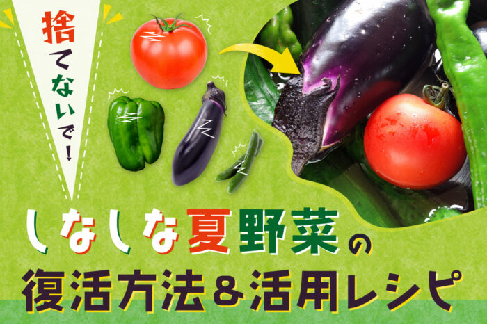 記事イメージ