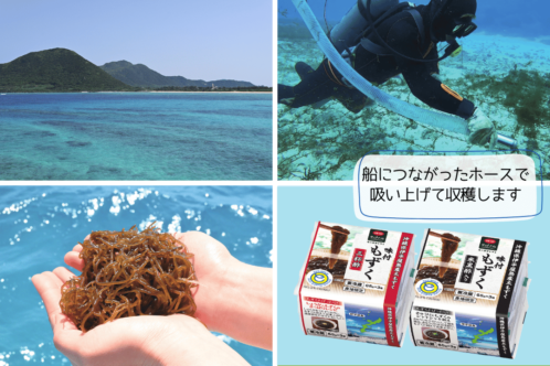 美ら海からの贈り物　ＣＯ・ＯＰ沖縄県伊平屋島産味付もずく